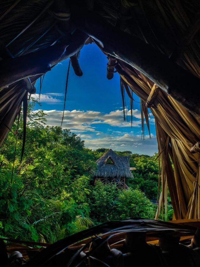 Palapa Hostel Transito 外观 照片