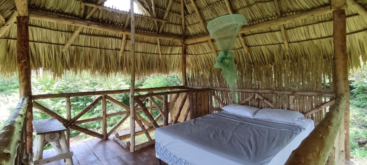 Palapa Hostel Transito 外观 照片