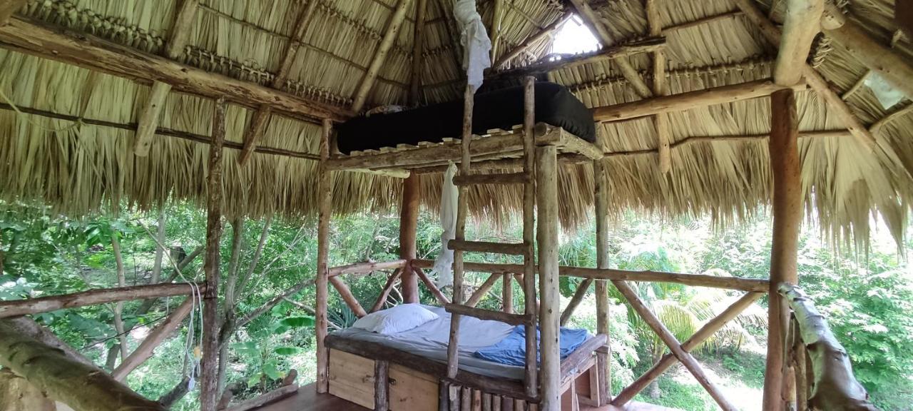 Palapa Hostel Transito 外观 照片