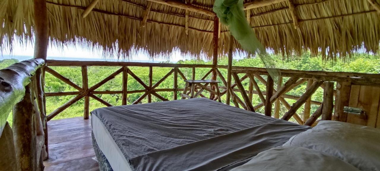 Palapa Hostel Transito 外观 照片