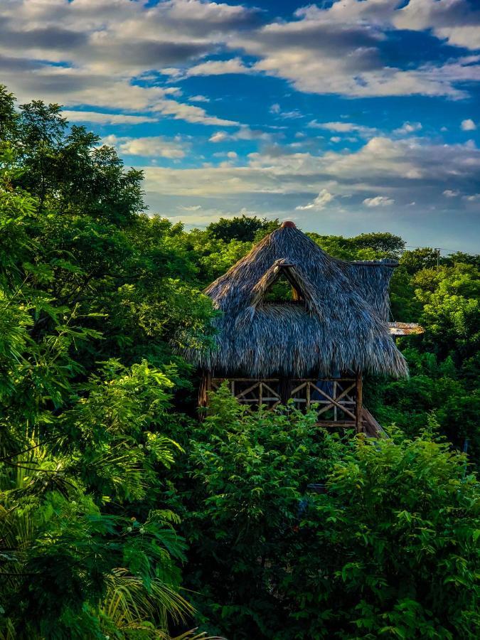 Palapa Hostel Transito 外观 照片