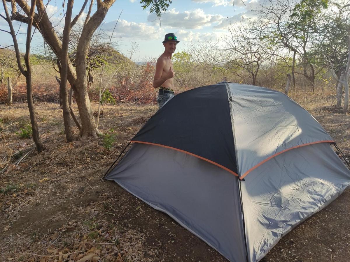 Palapa Hostel Transito 外观 照片