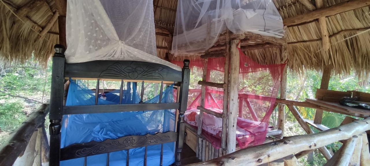 Palapa Hostel Transito 外观 照片