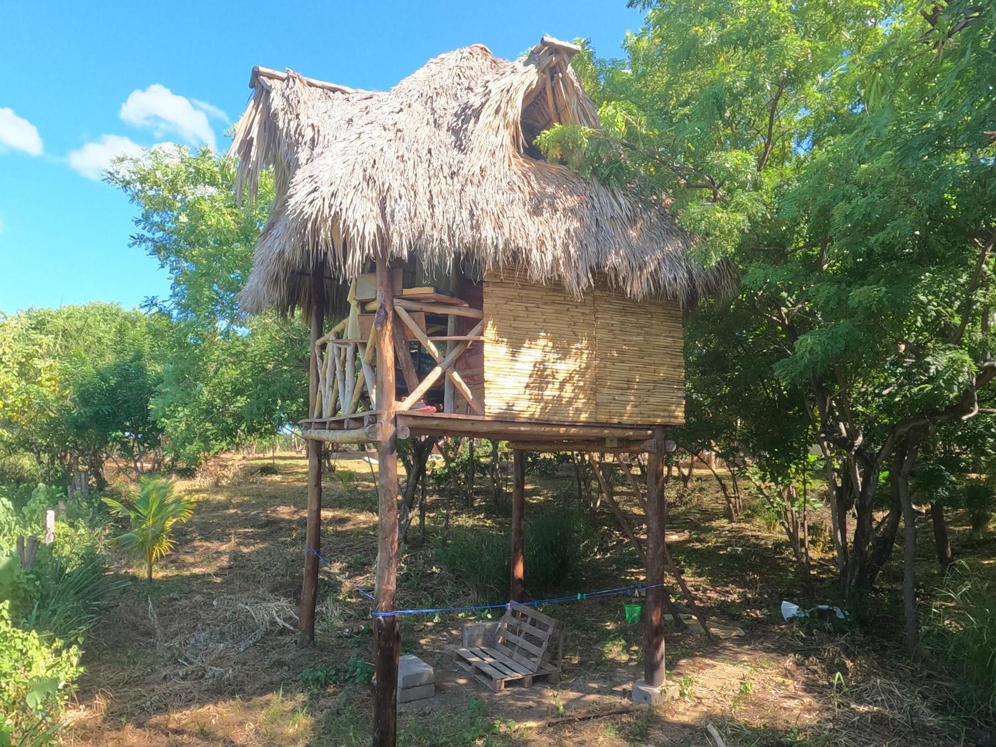 Palapa Hostel Transito 外观 照片