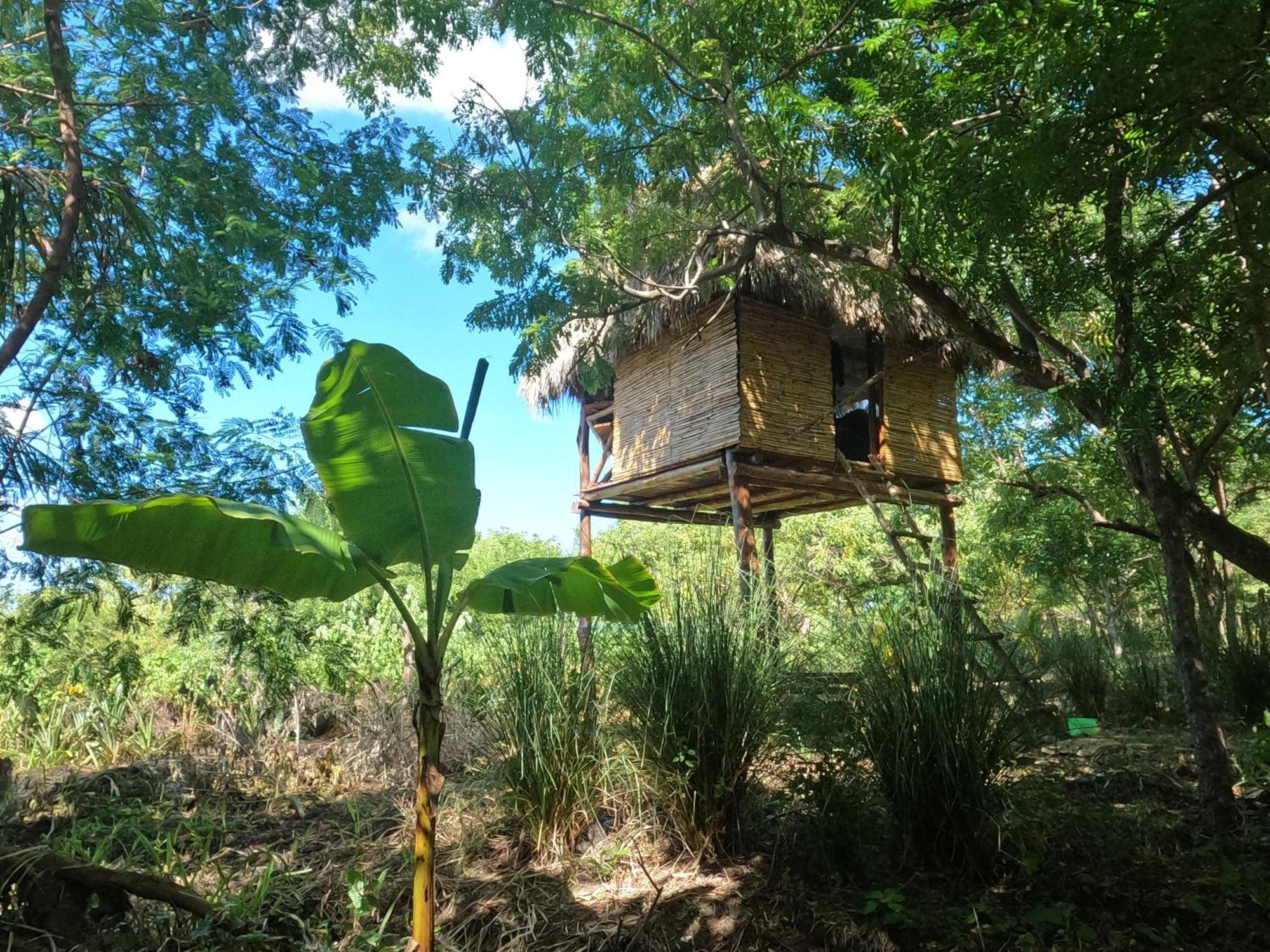 Palapa Hostel Transito 外观 照片
