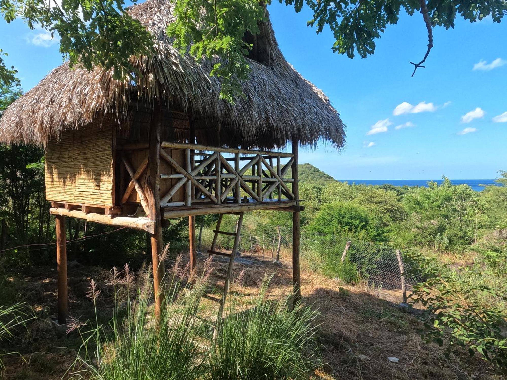 Palapa Hostel Transito 外观 照片