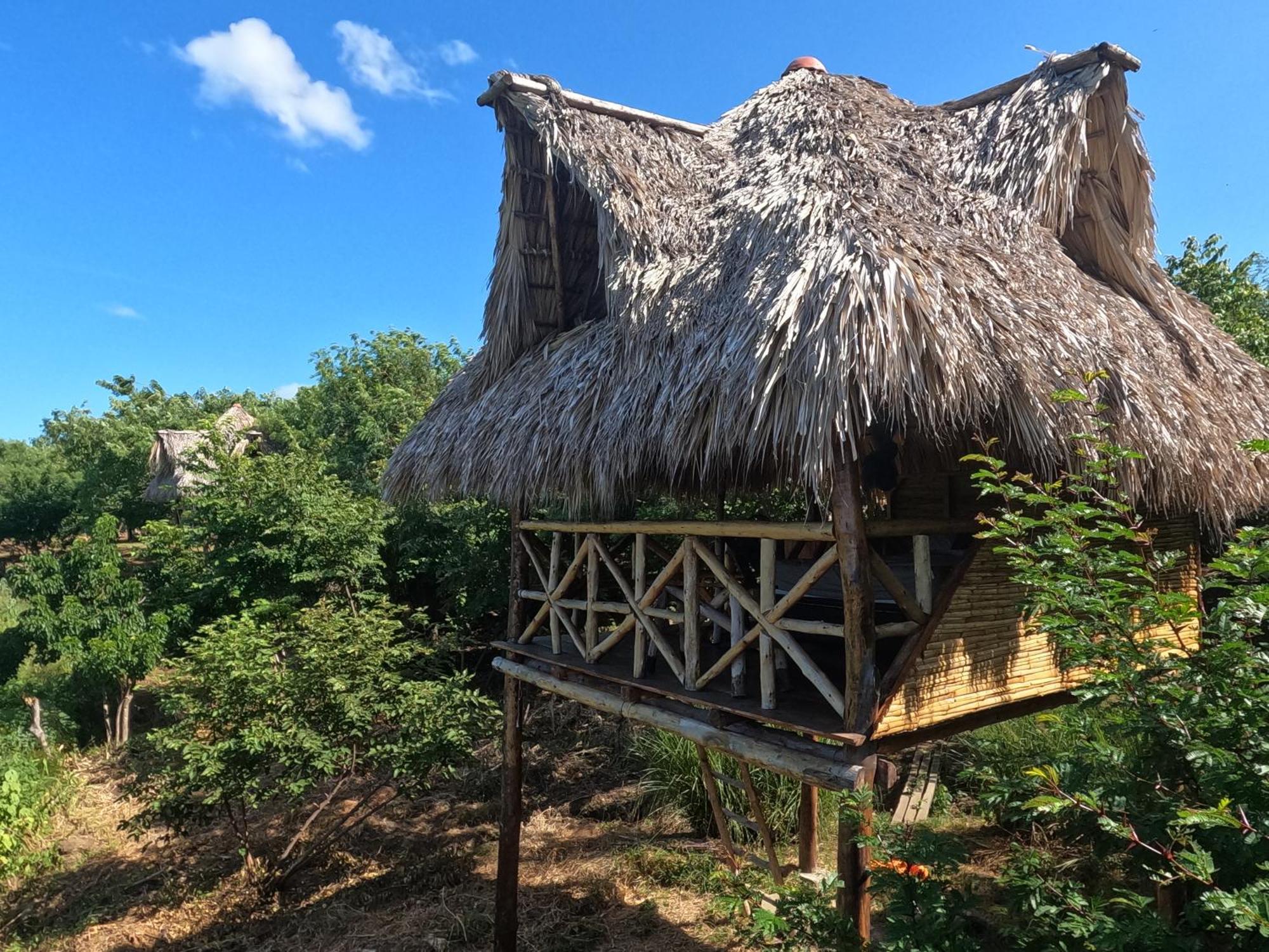 Palapa Hostel Transito 外观 照片