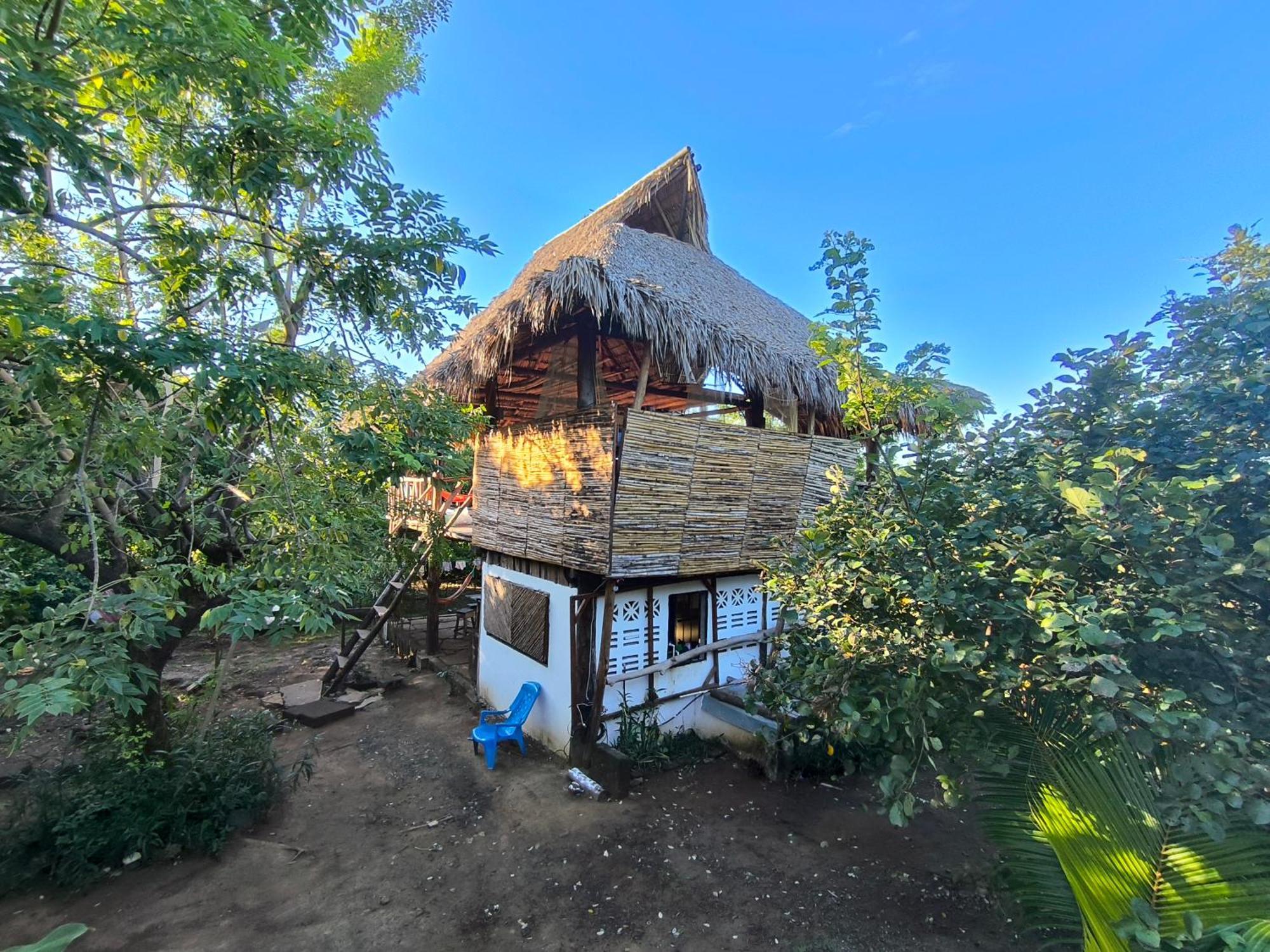 Palapa Hostel Transito 外观 照片