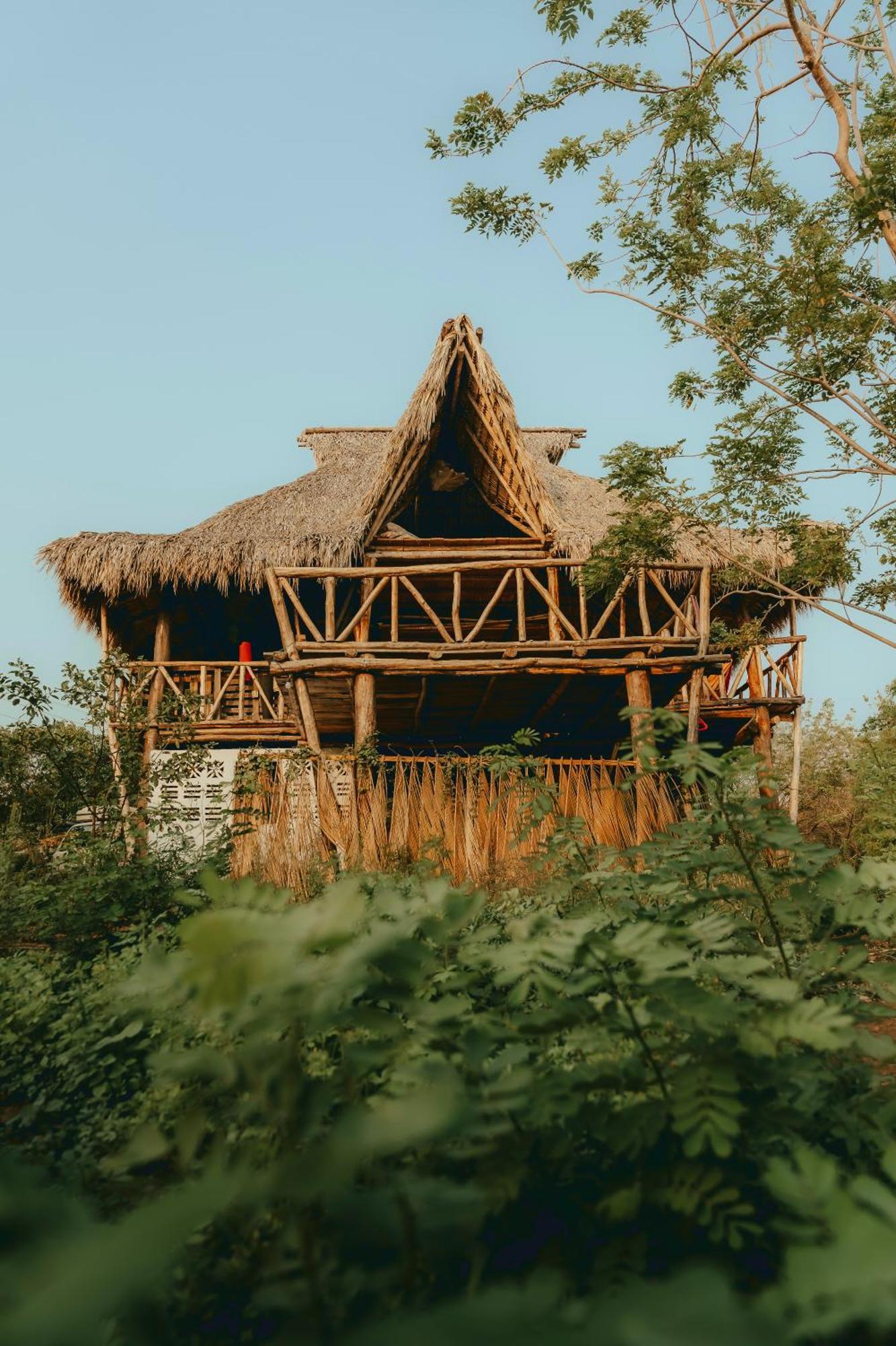 Palapa Hostel Transito 外观 照片