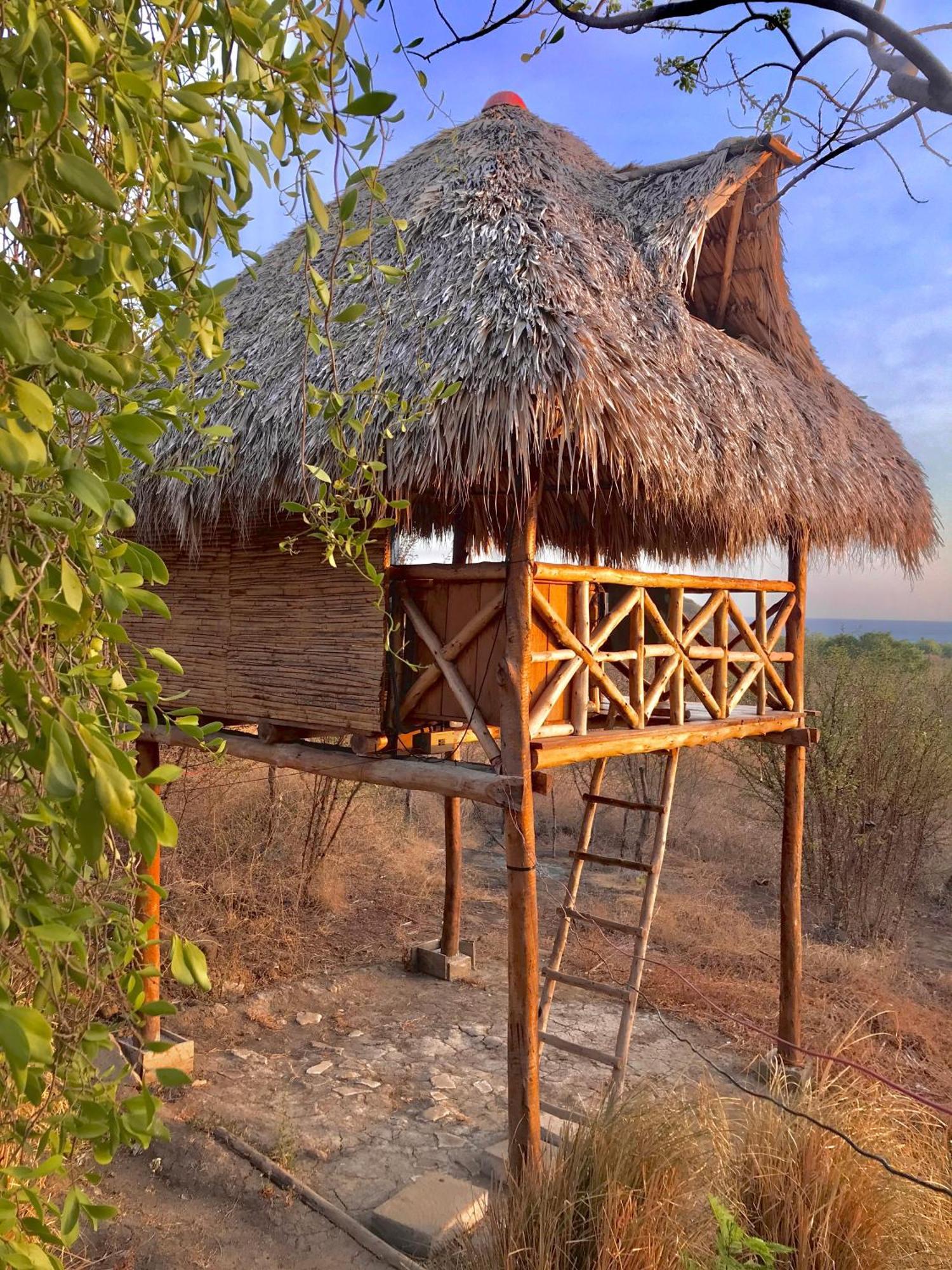 Palapa Hostel Transito 外观 照片